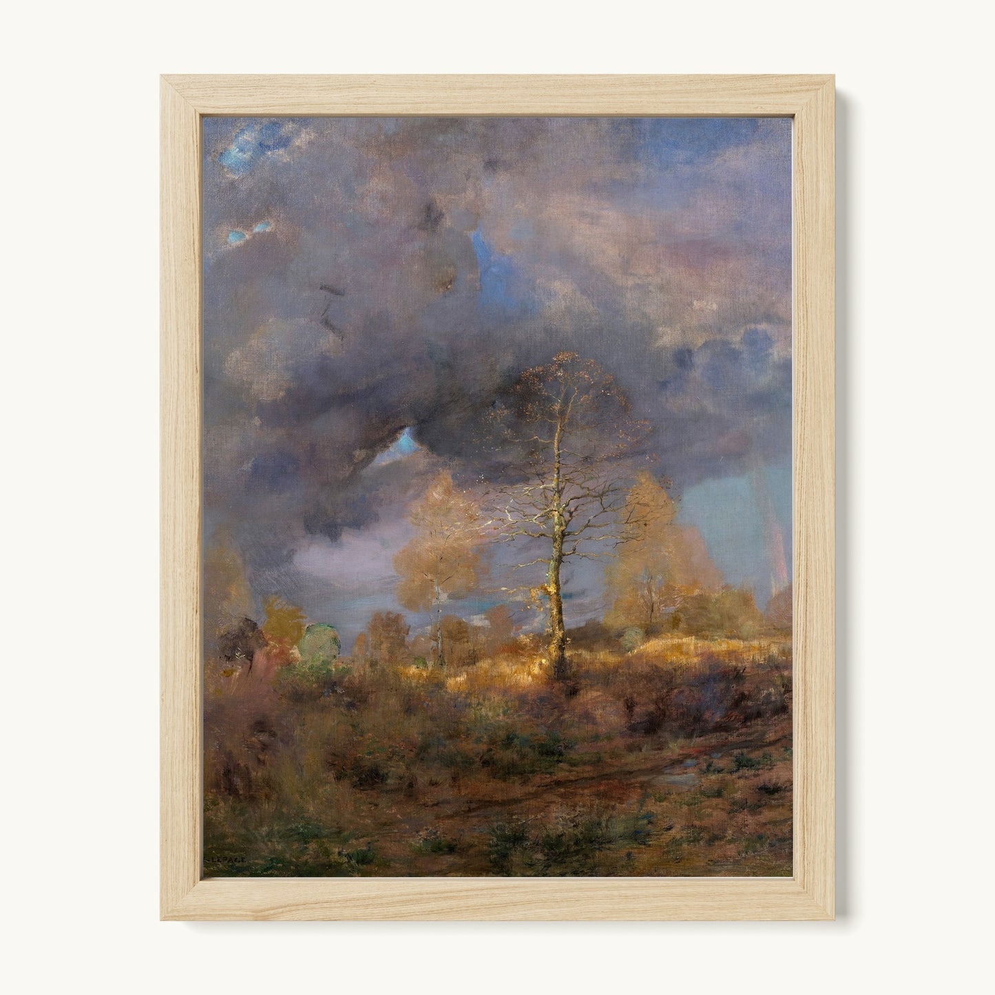 After the Storm