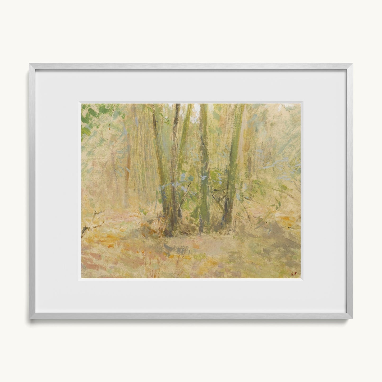 Arbres dans la forêt