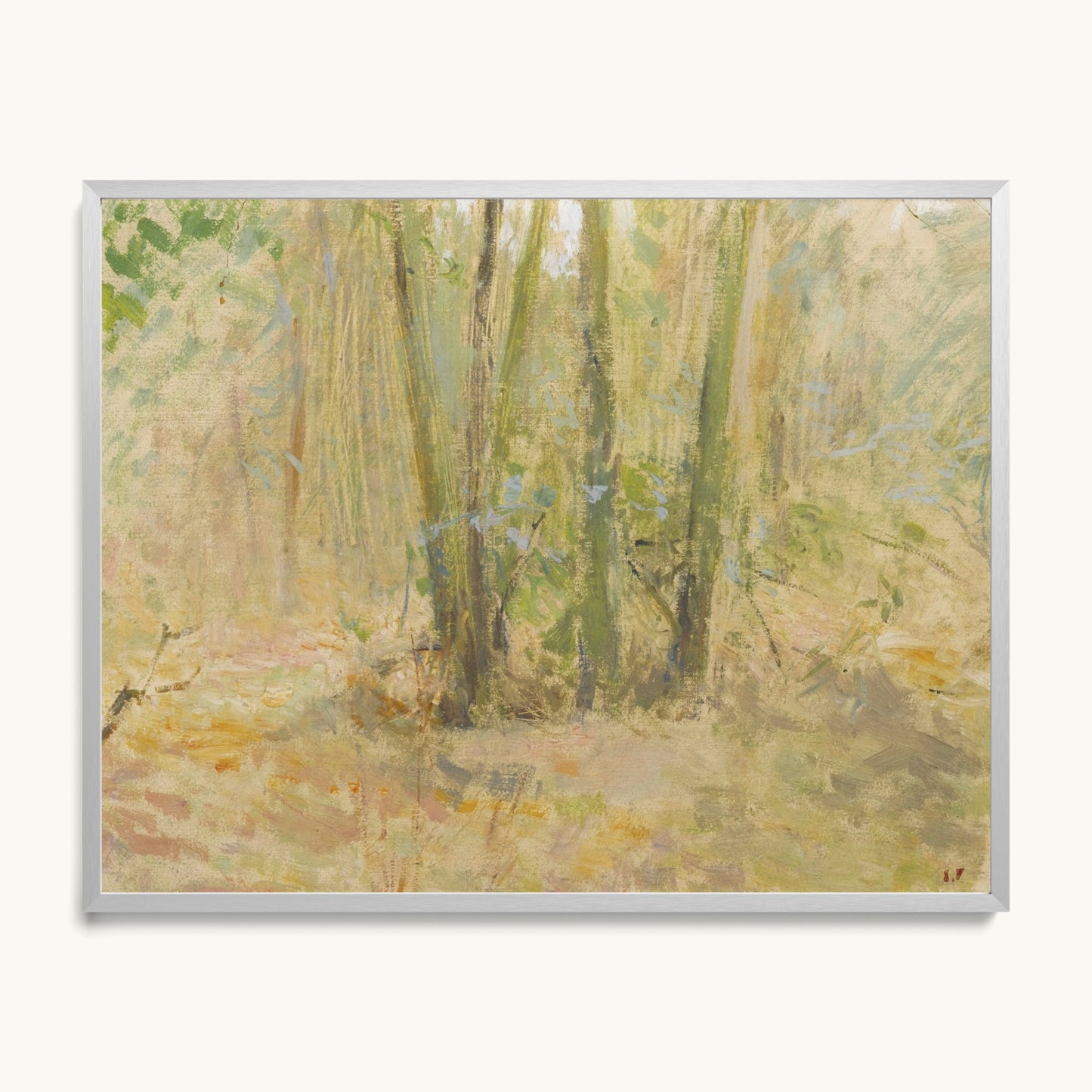 Arbres dans la forêt