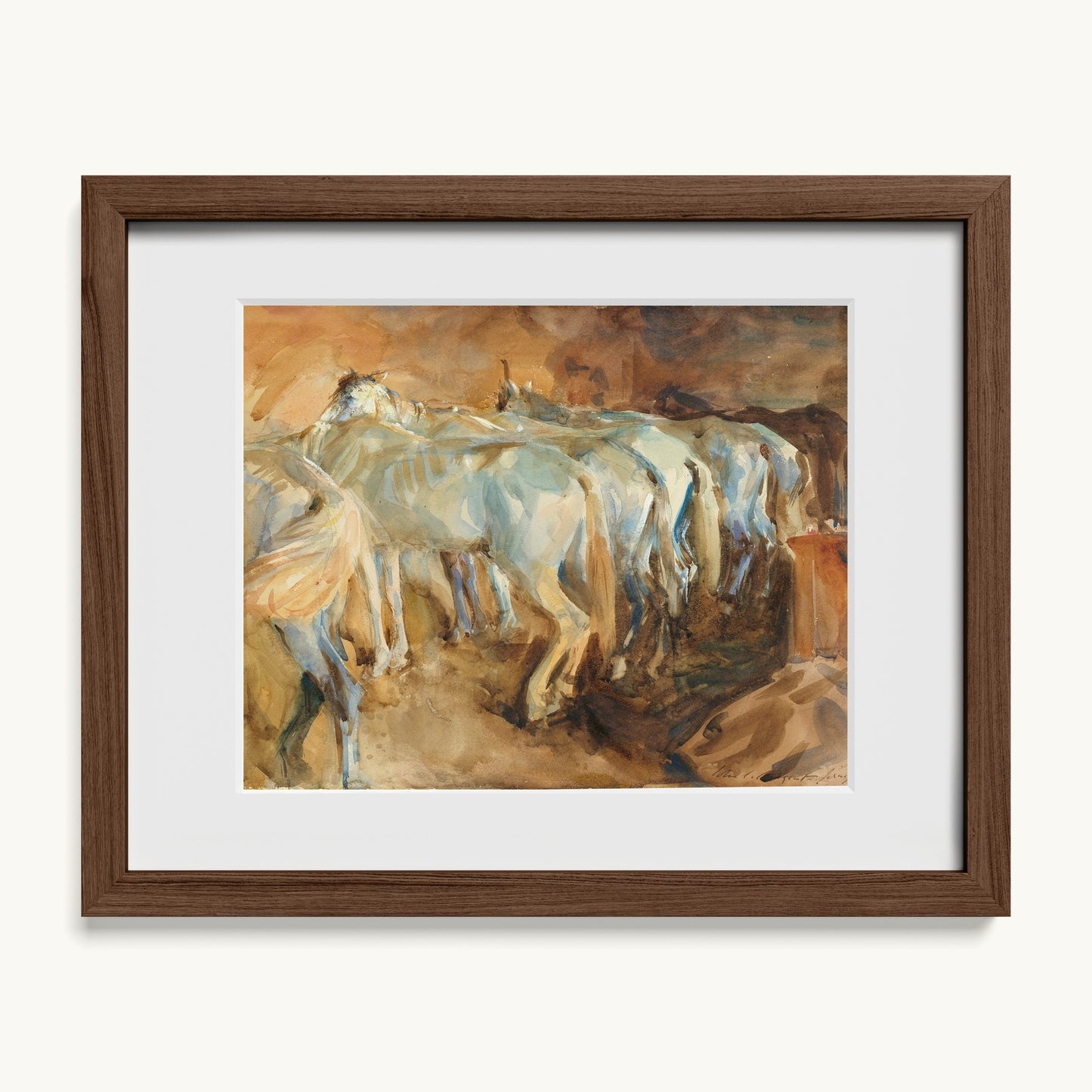 Bus Horses in Jerusalem