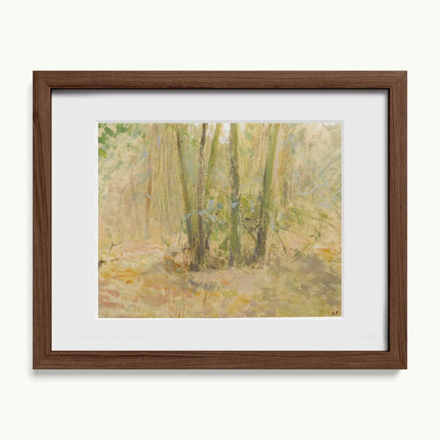 Arbres dans la forêt