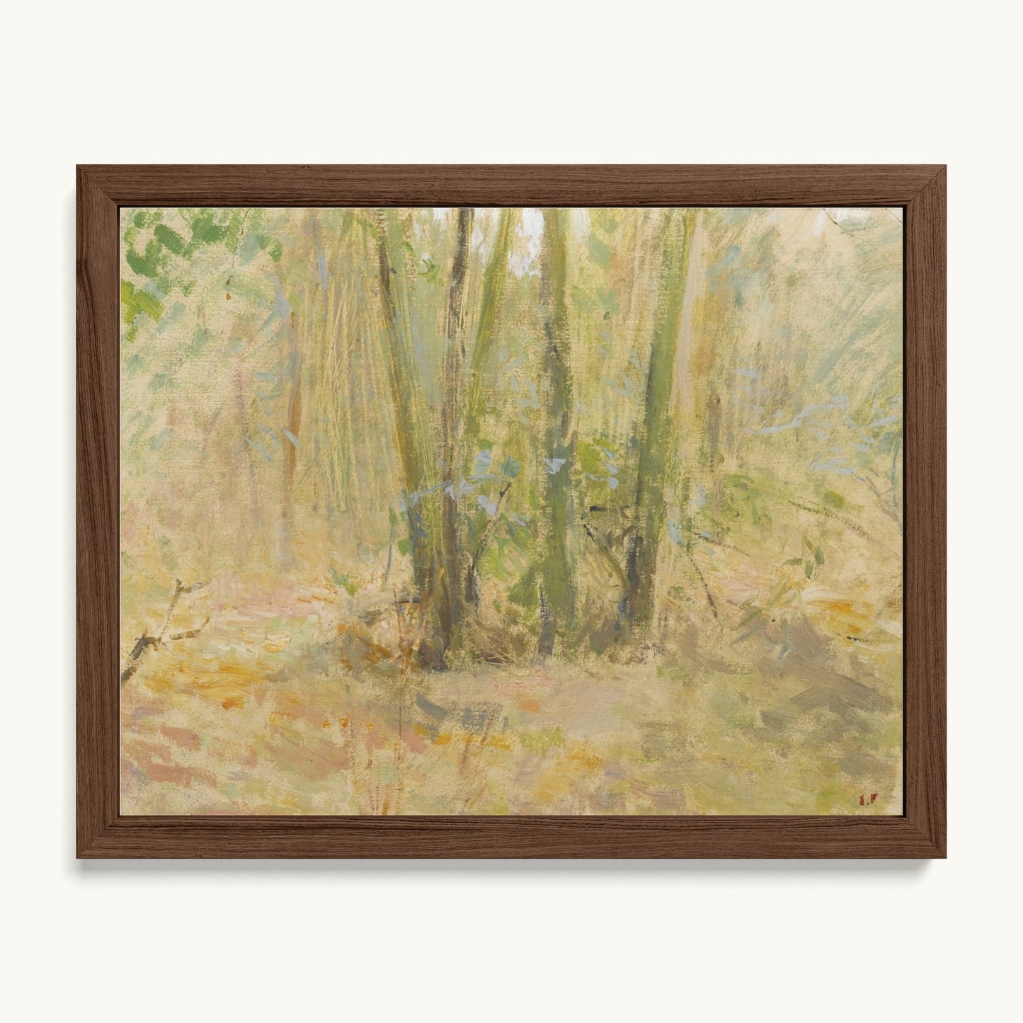 Arbres dans la forêt