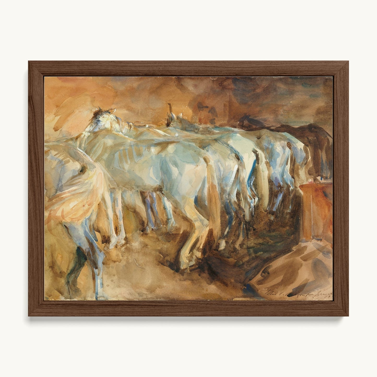 Bus Horses in Jerusalem