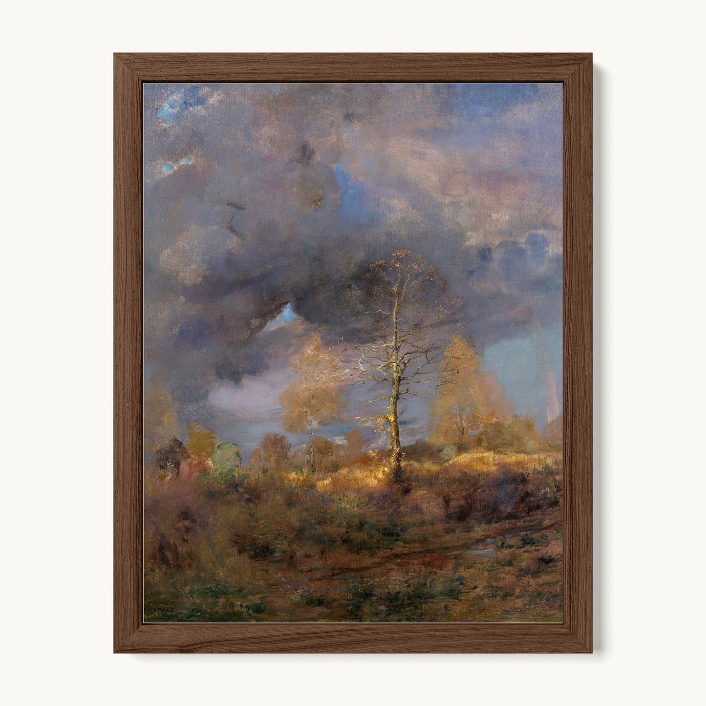 After the Storm