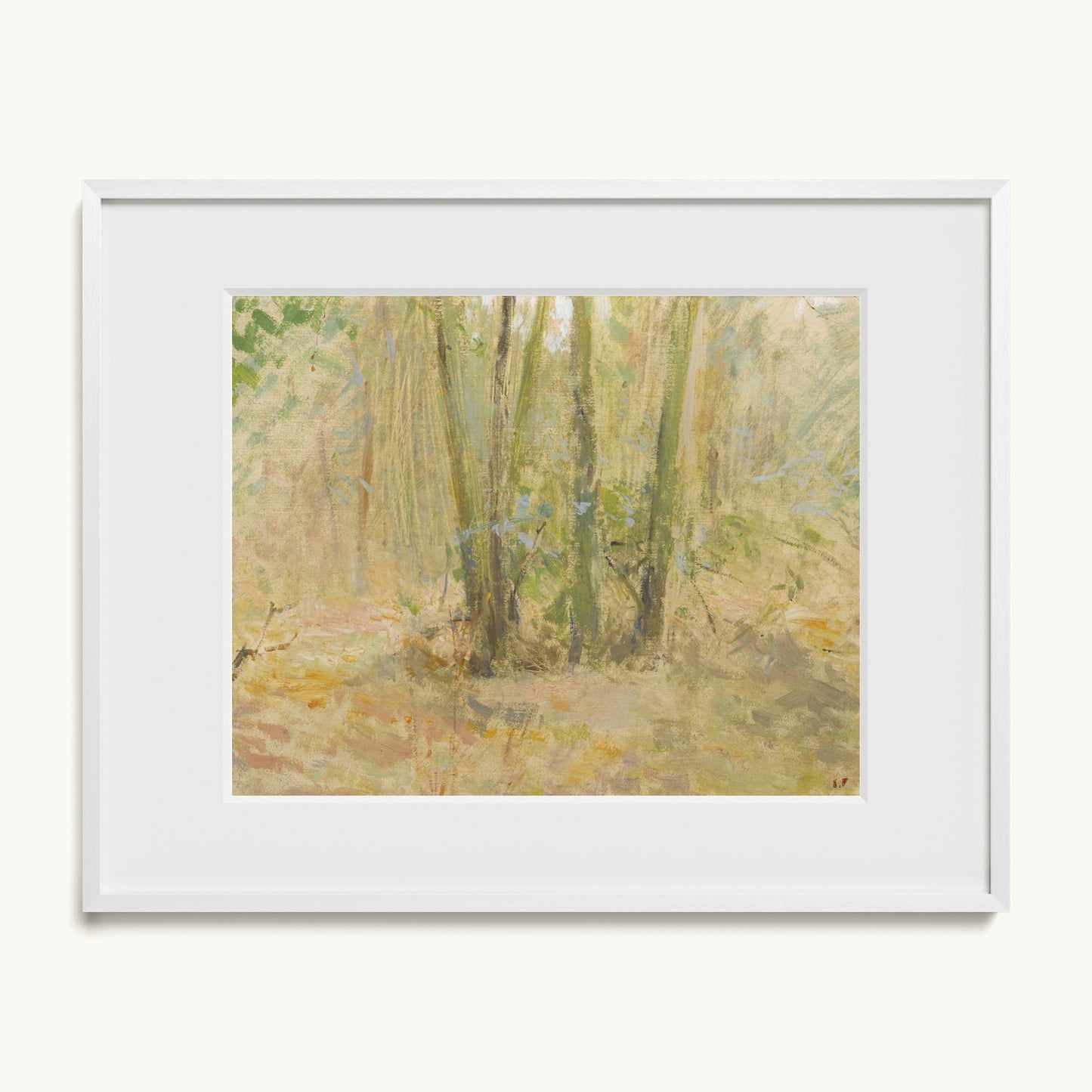 Arbres dans la forêt