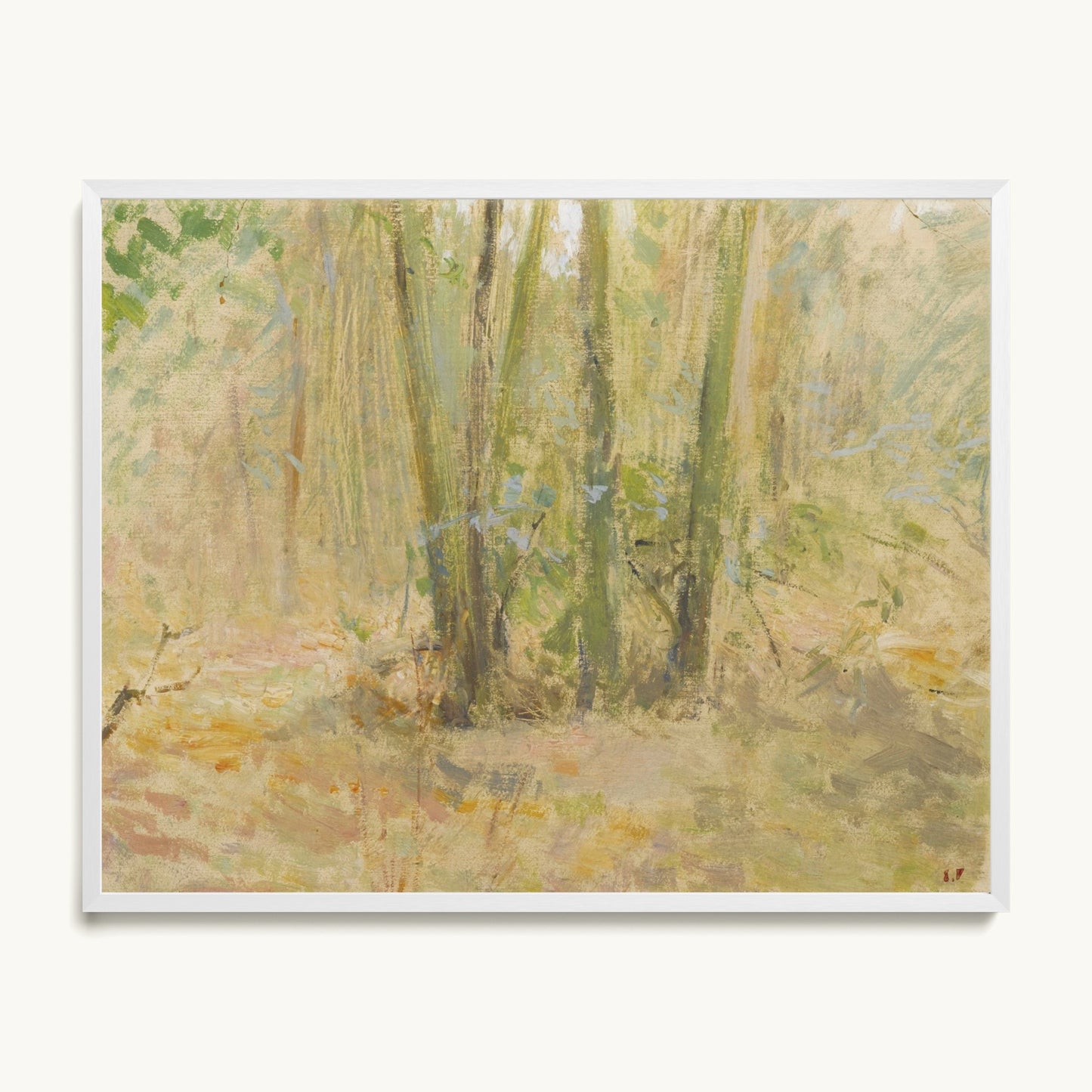 Arbres dans la forêt