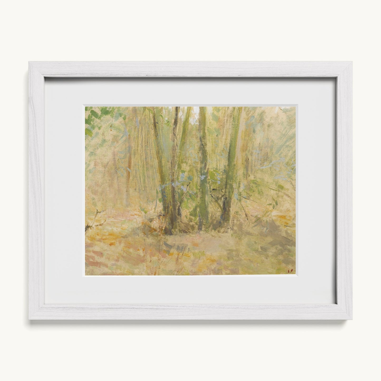 Arbres dans la forêt