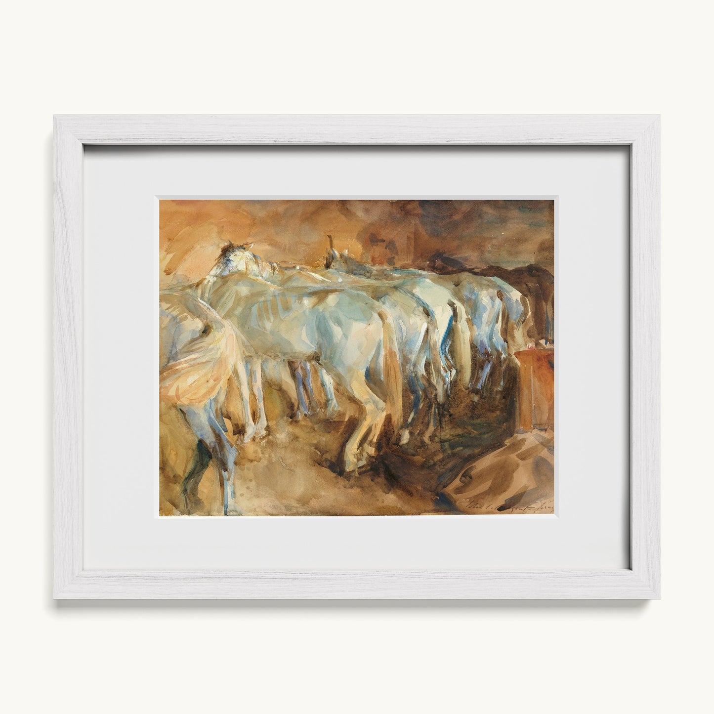 Bus Horses in Jerusalem