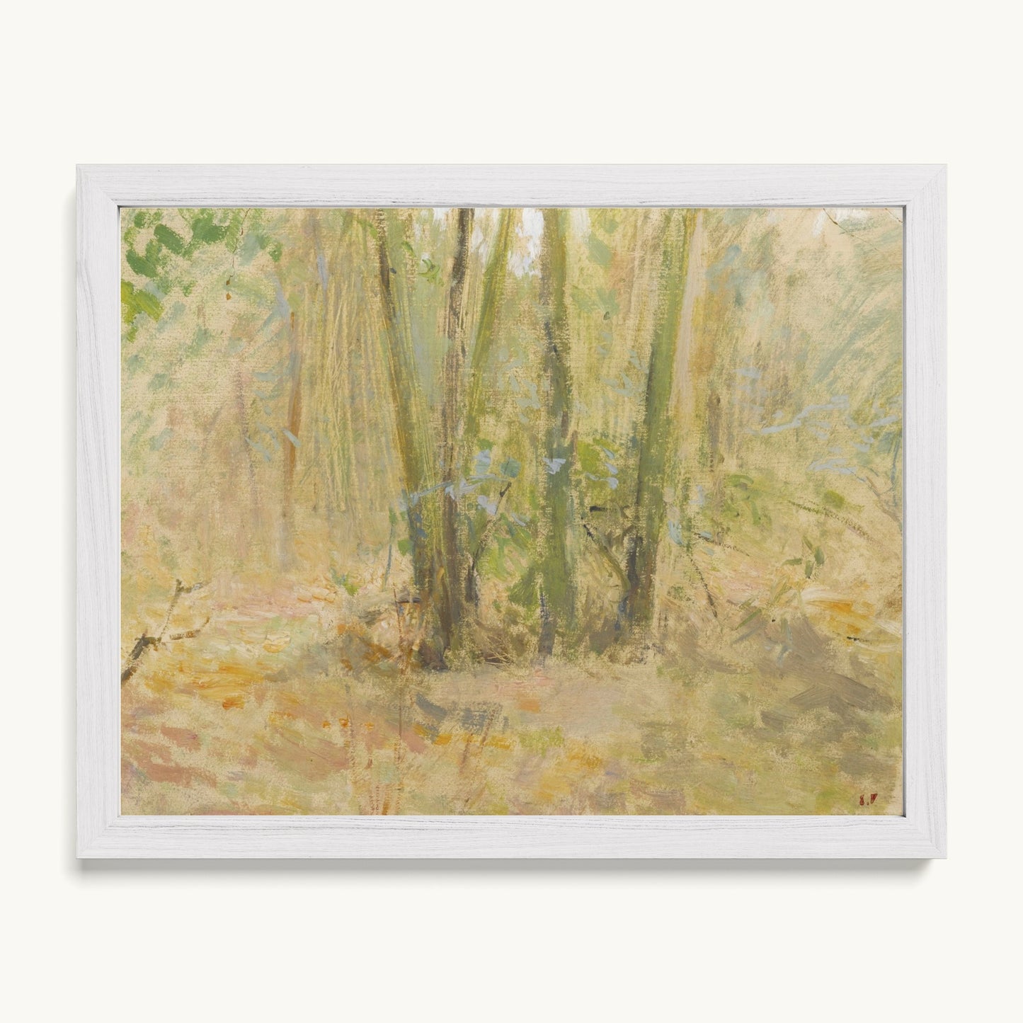 Arbres dans la forêt