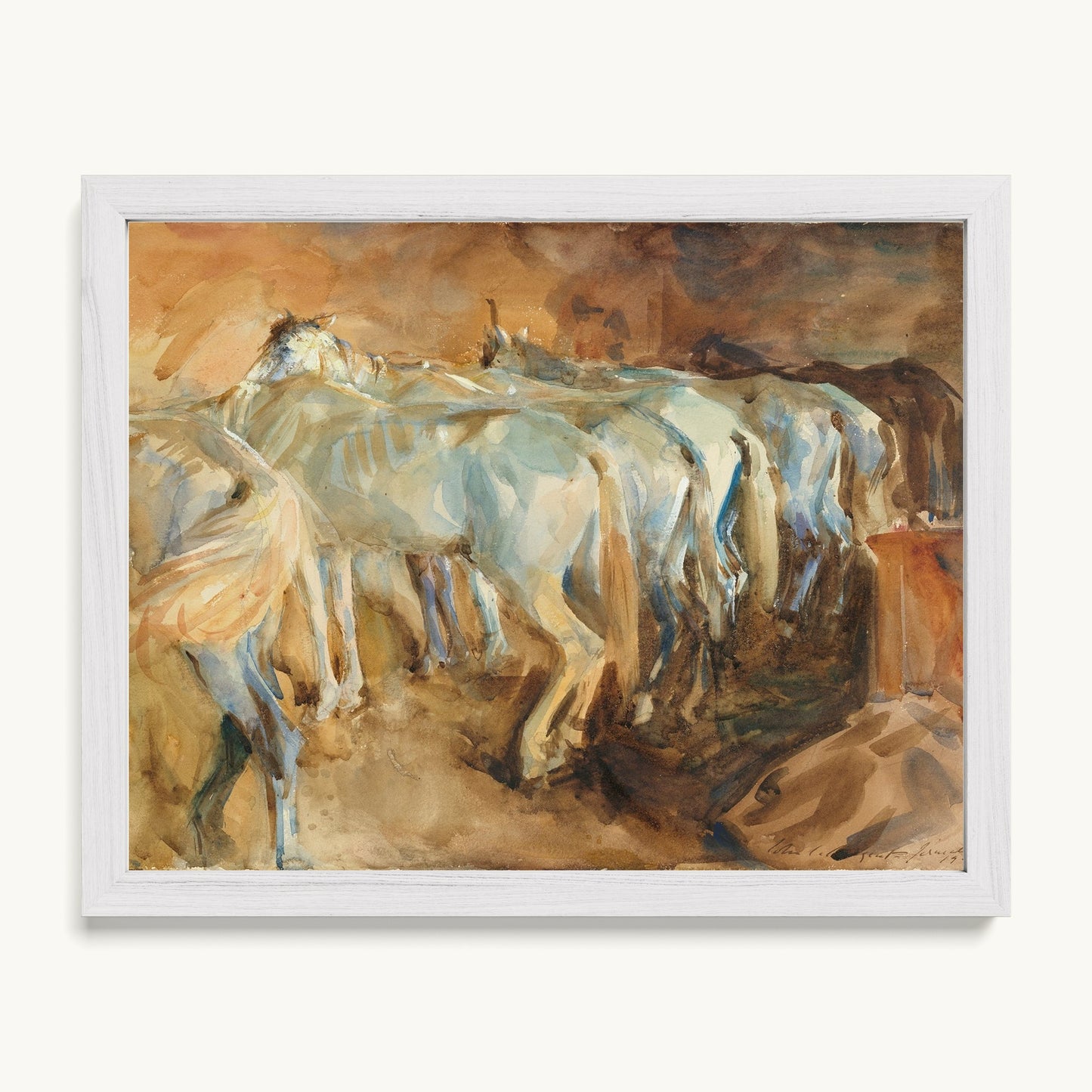 Bus Horses in Jerusalem