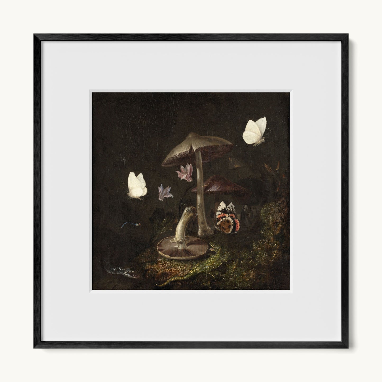 A Sottobosco with Mushrooms, Butterflies, a Dragonfly, a Snake and a Lizard