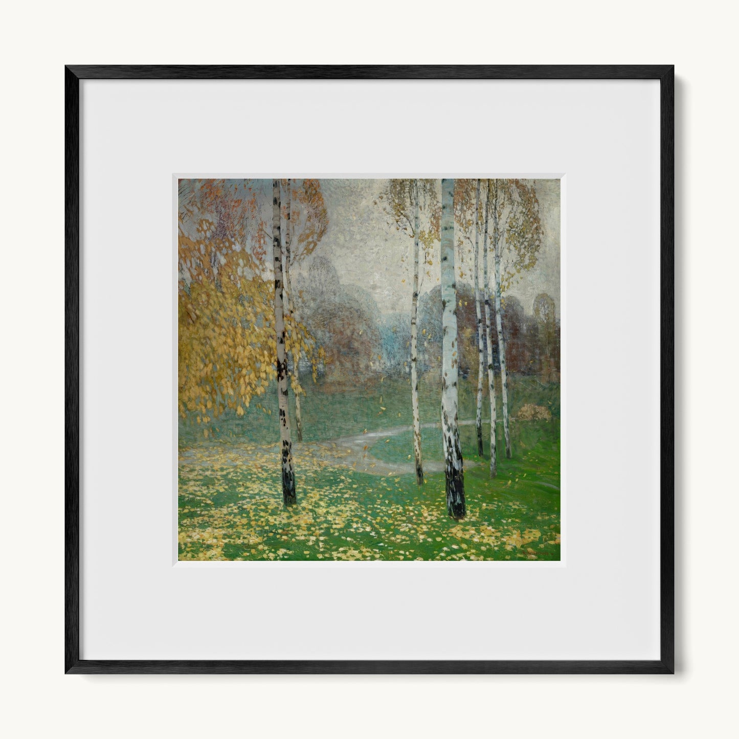 Birch Trees