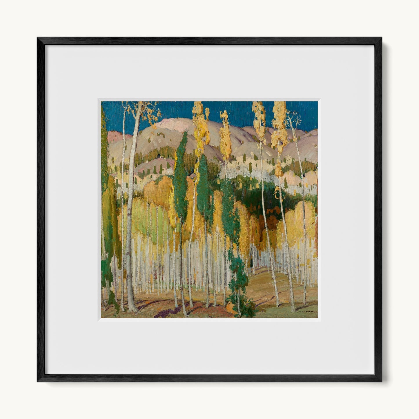 Aspen Trees at Twining