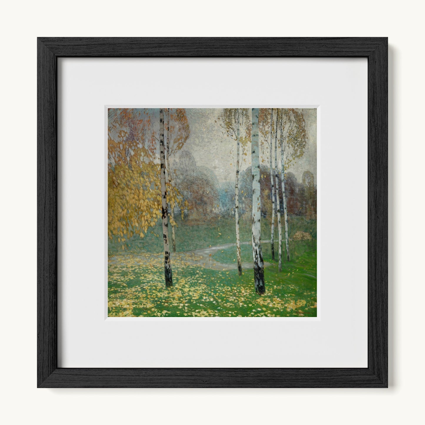 Birch Trees
