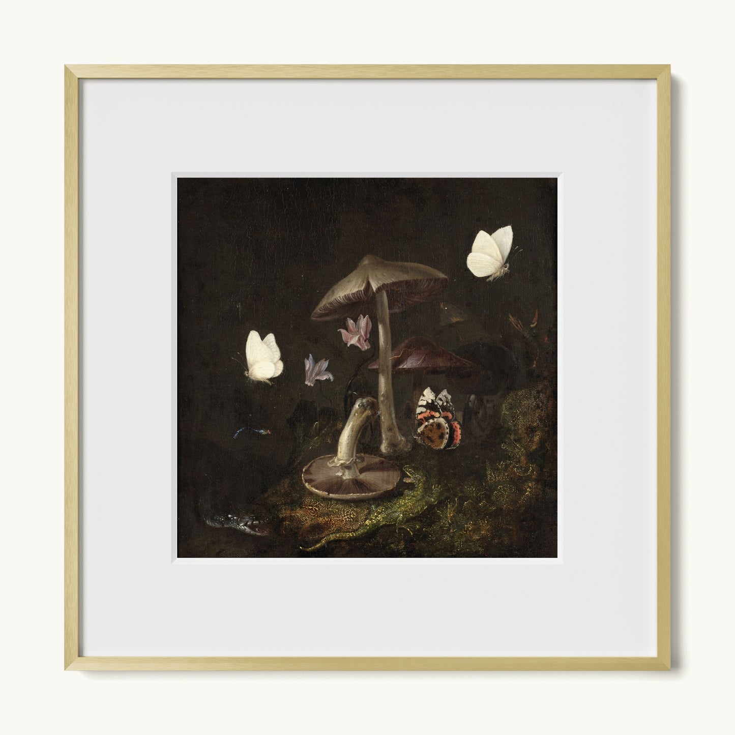 A Sottobosco with Mushrooms, Butterflies, a Dragonfly, a Snake and a Lizard
