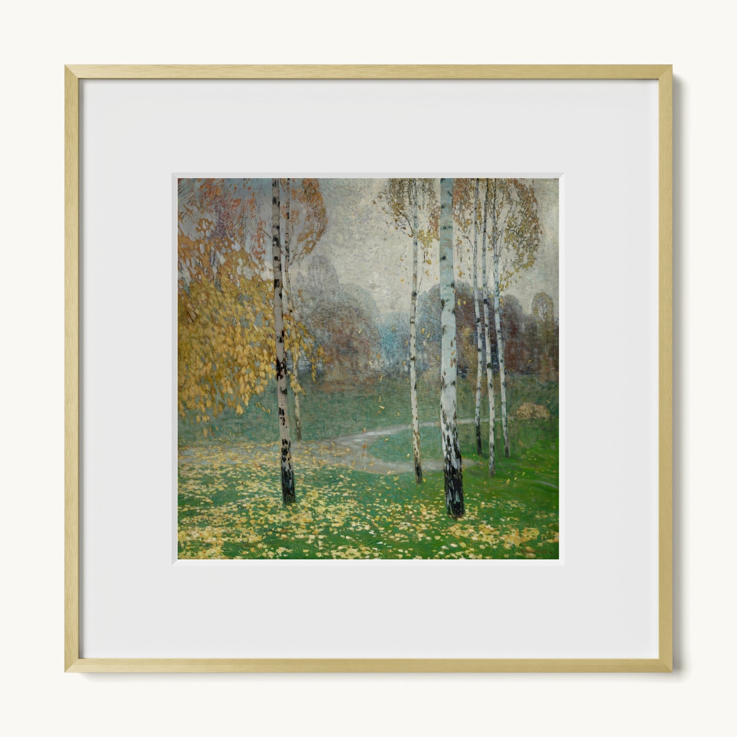 Birch Trees