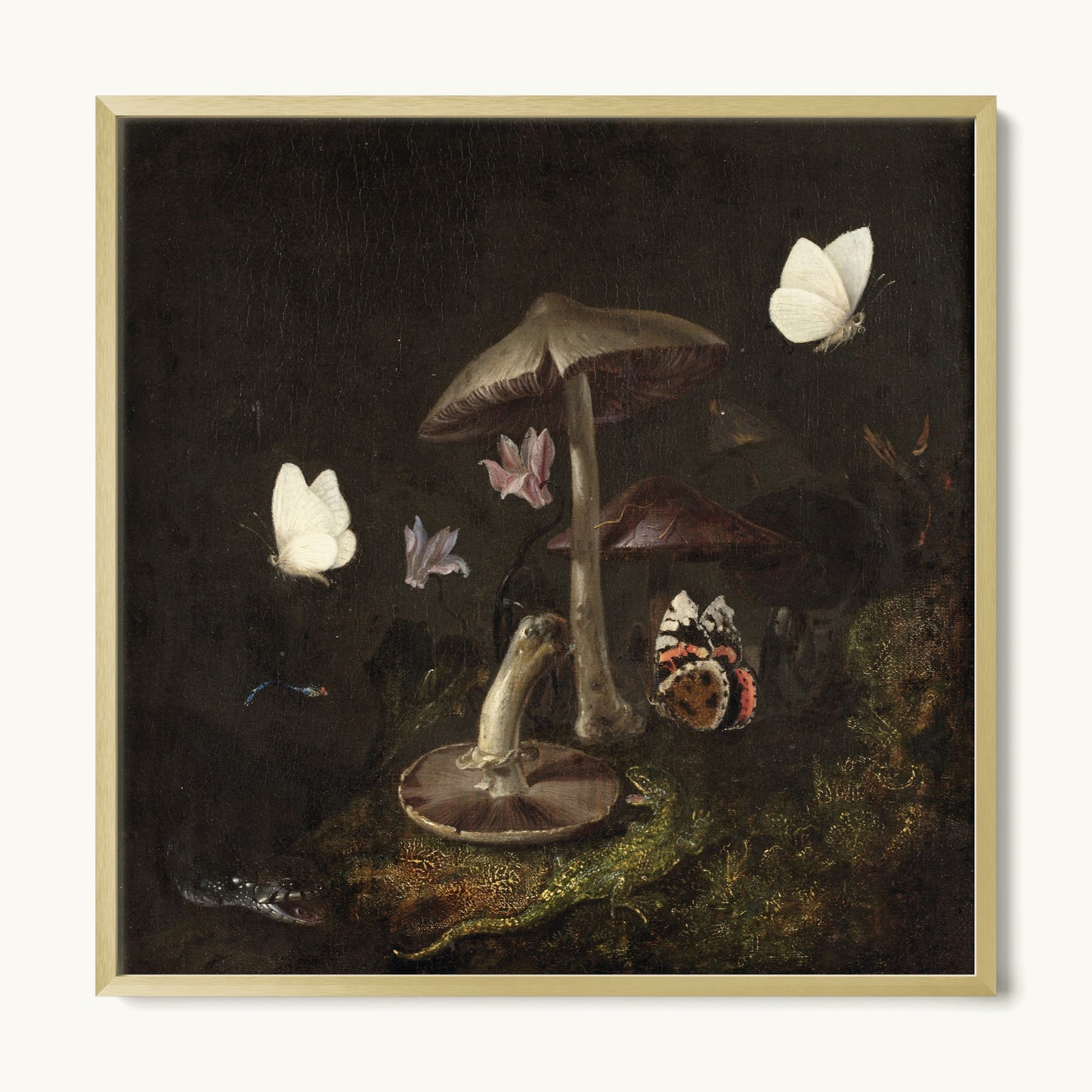 A Sottobosco with Mushrooms, Butterflies, a Dragonfly, a Snake and a Lizard
