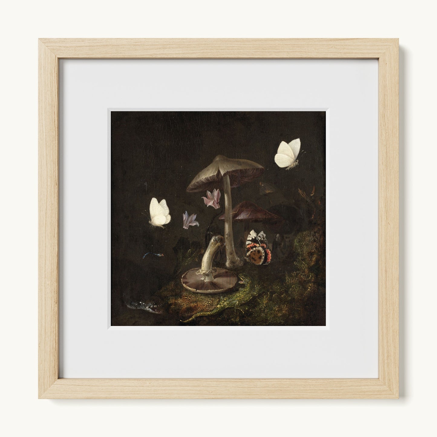 A Sottobosco with Mushrooms, Butterflies, a Dragonfly, a Snake and a Lizard