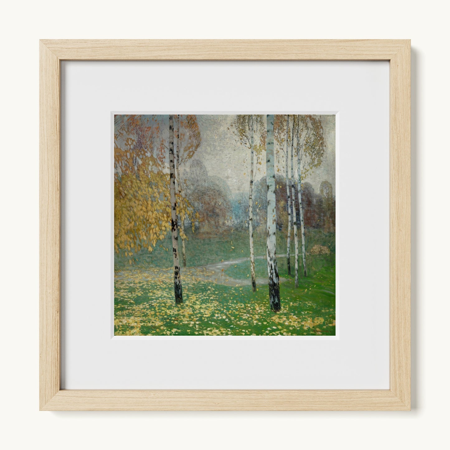 Birch Trees