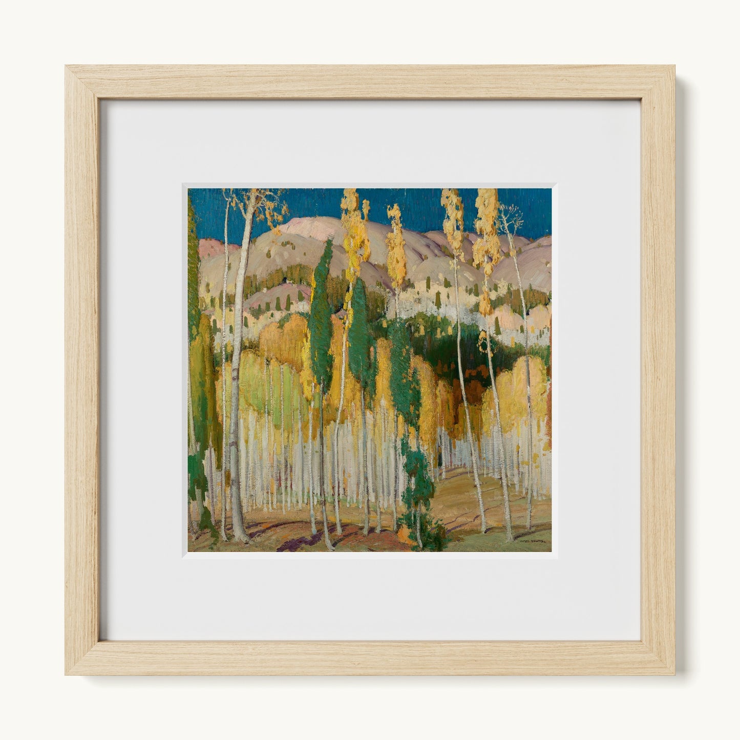 Aspen Trees at Twining