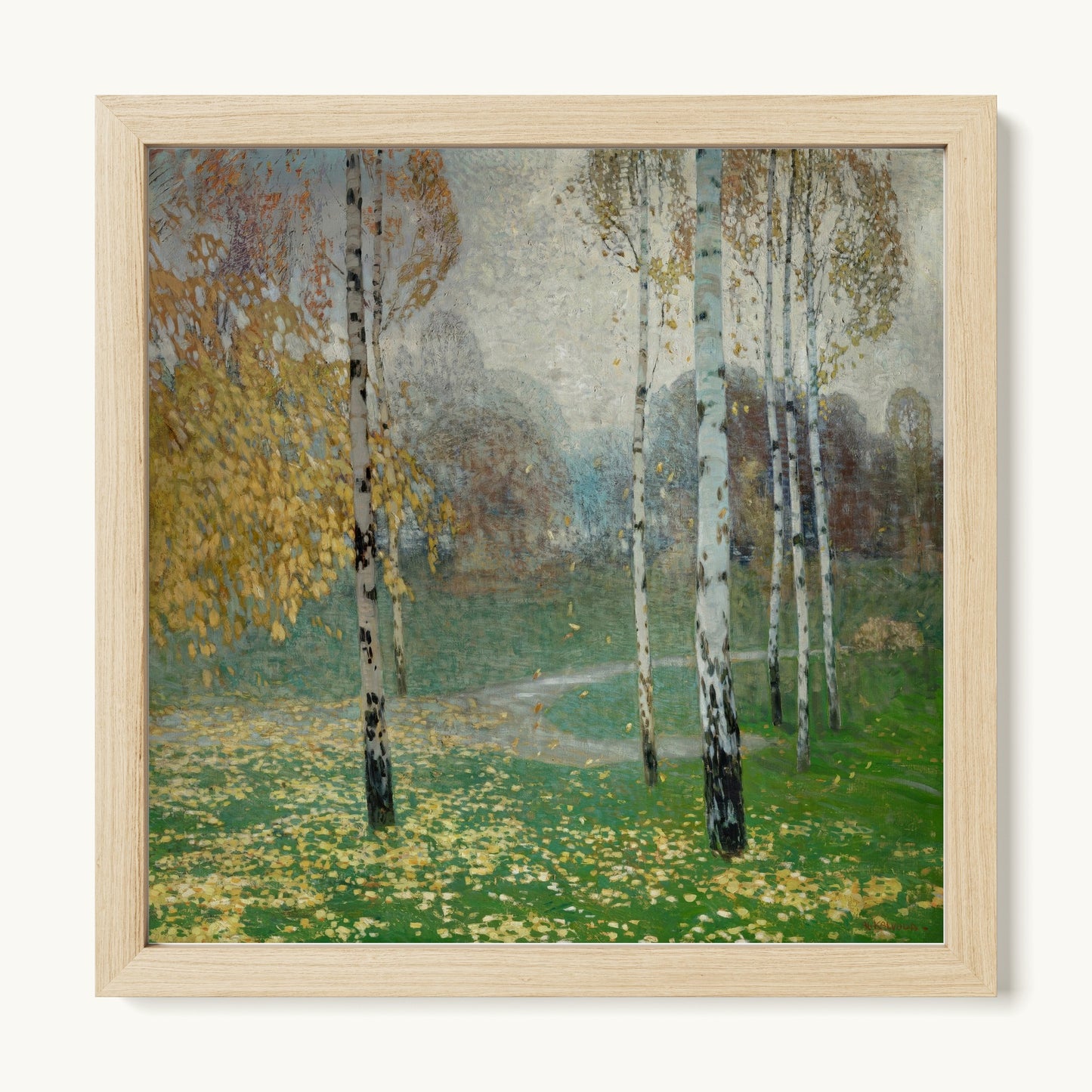 Birch Trees