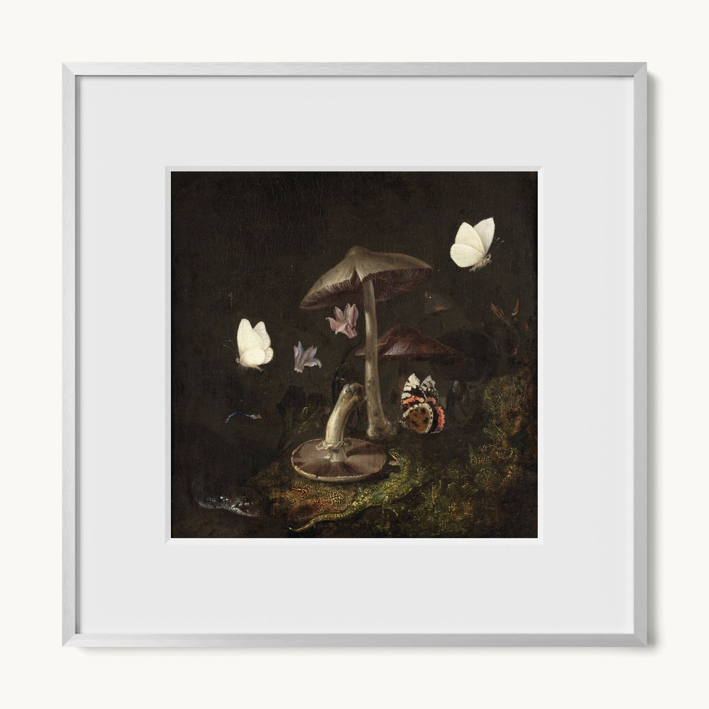 A Sottobosco with Mushrooms, Butterflies, a Dragonfly, a Snake and a Lizard