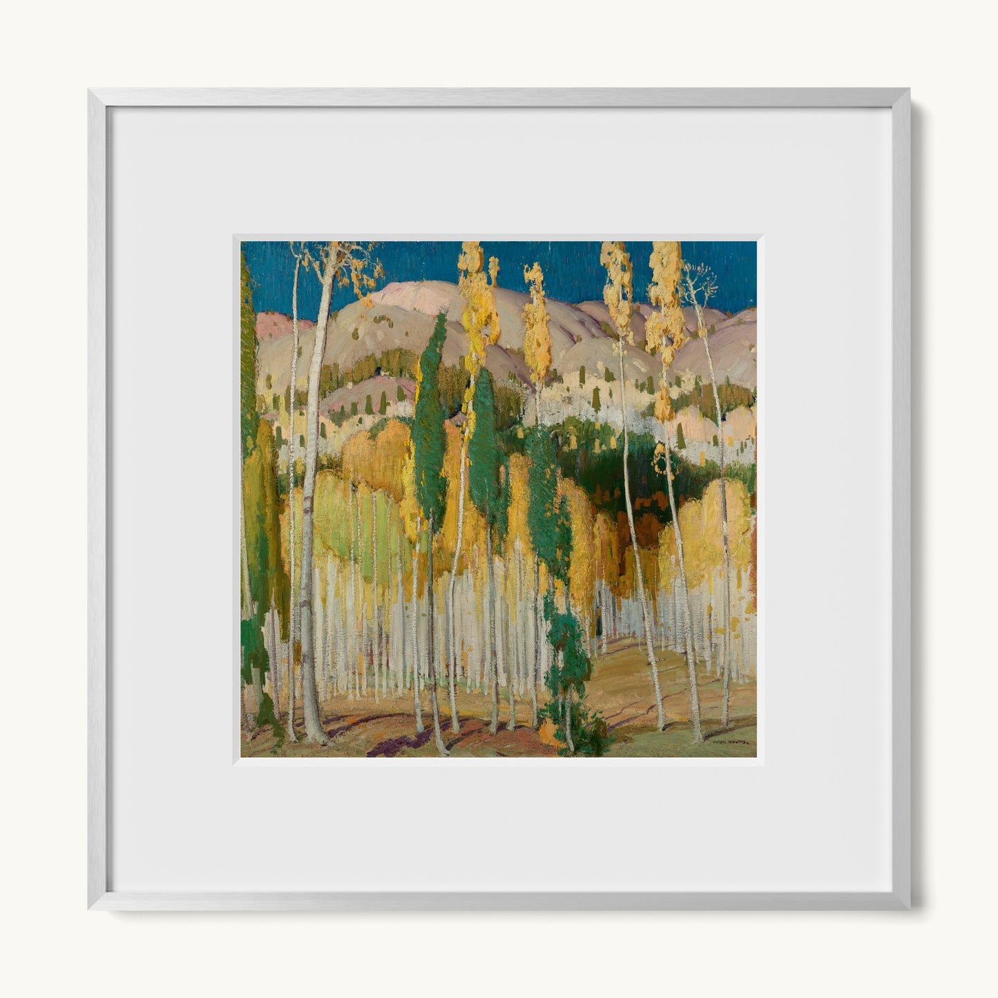 Aspen Trees at Twining