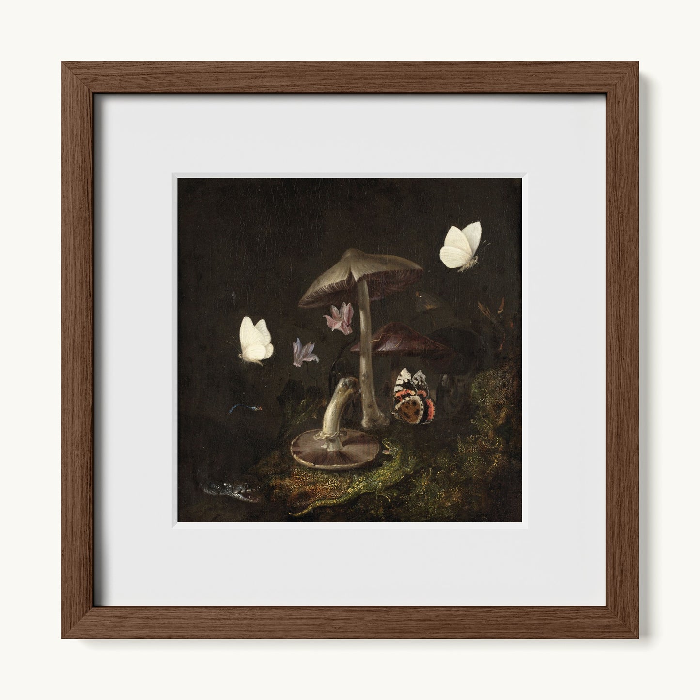 A Sottobosco with Mushrooms, Butterflies, a Dragonfly, a Snake and a Lizard