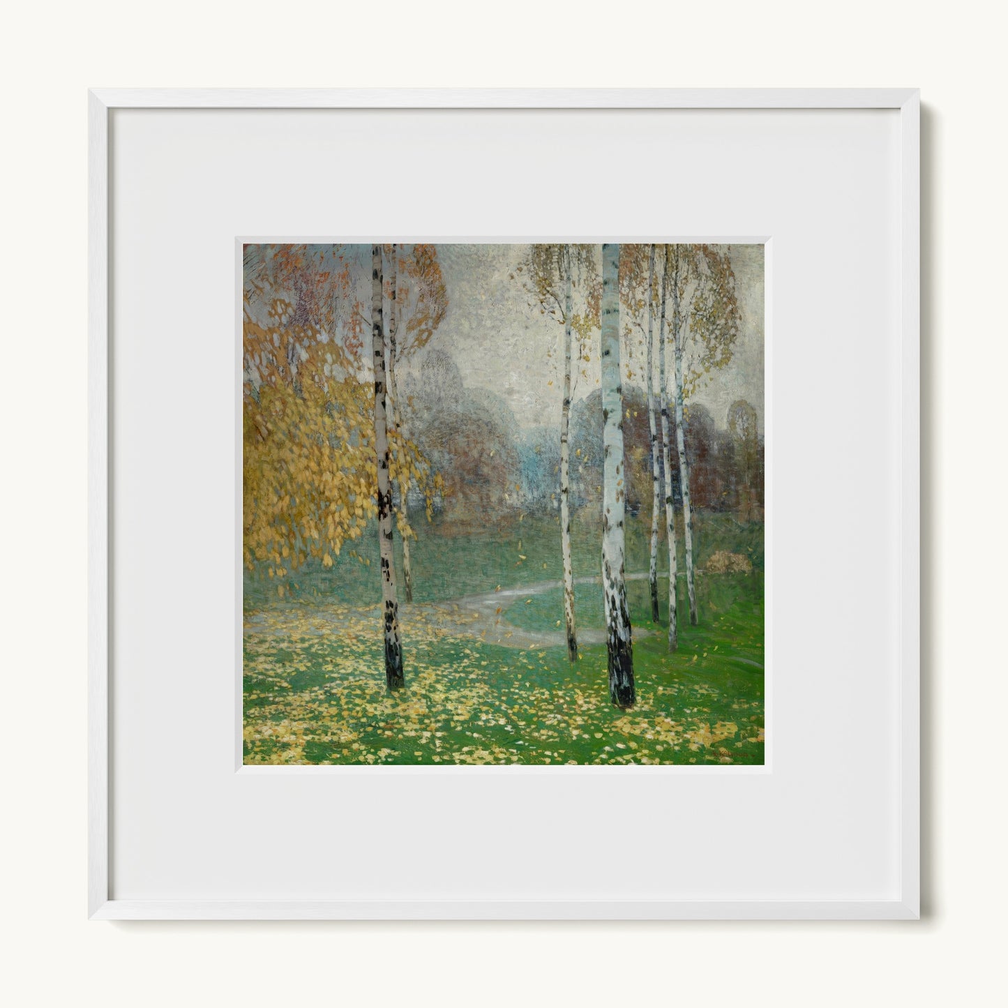 Birch Trees