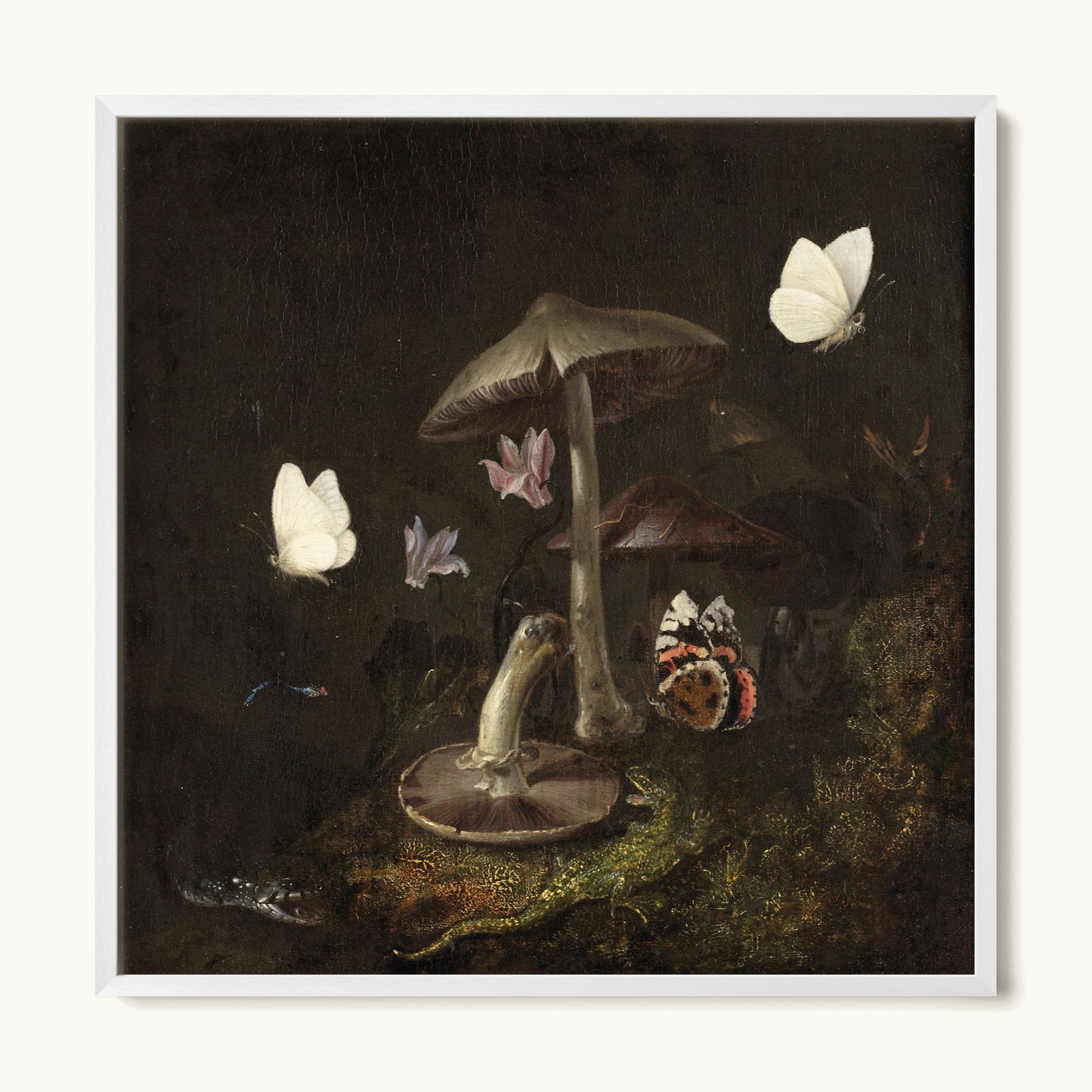 A Sottobosco with Mushrooms, Butterflies, a Dragonfly, a Snake and a Lizard