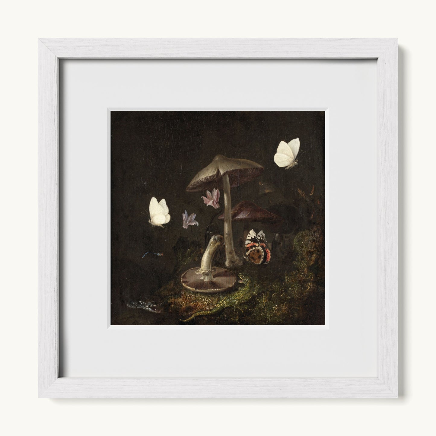 A Sottobosco with Mushrooms, Butterflies, a Dragonfly, a Snake and a Lizard