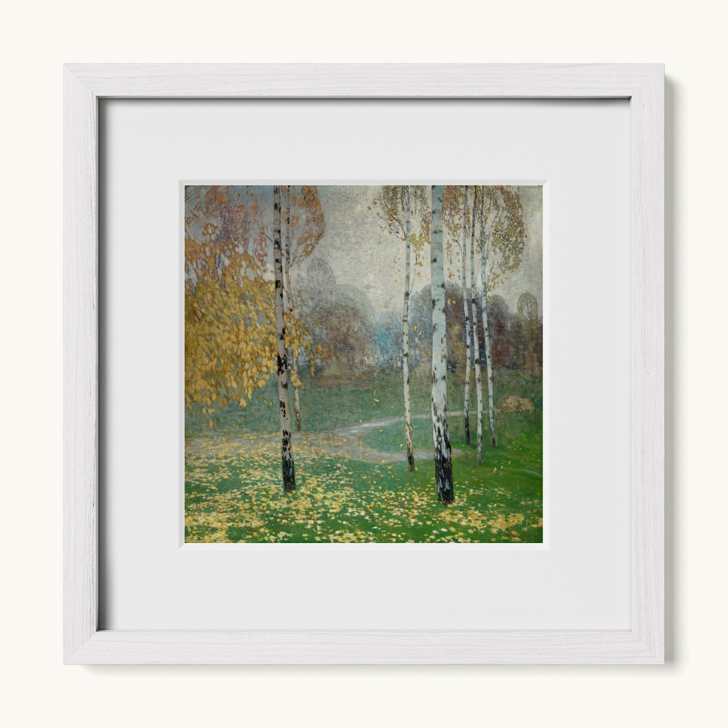 Birch Trees