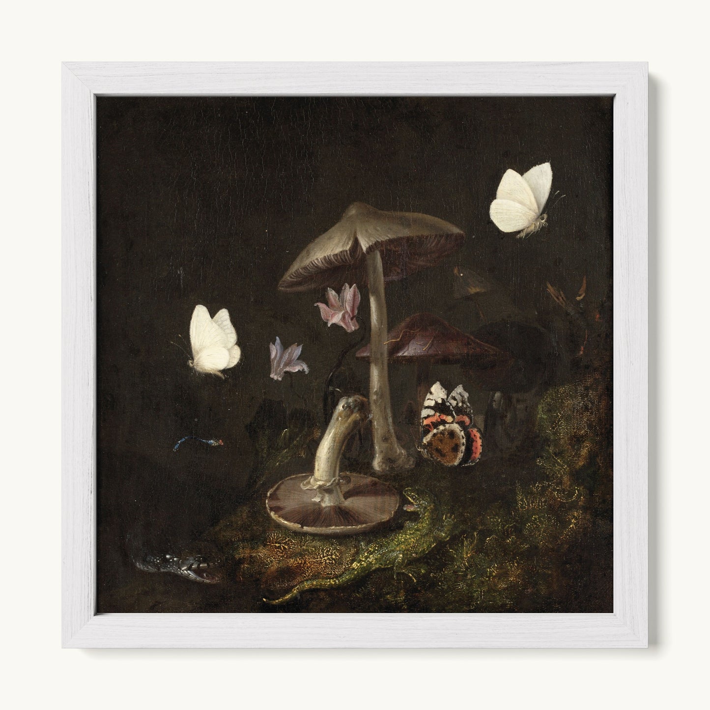 A Sottobosco with Mushrooms, Butterflies, a Dragonfly, a Snake and a Lizard