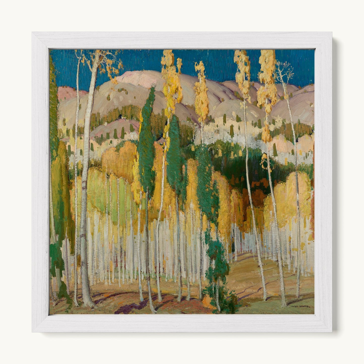Aspen Trees at Twining