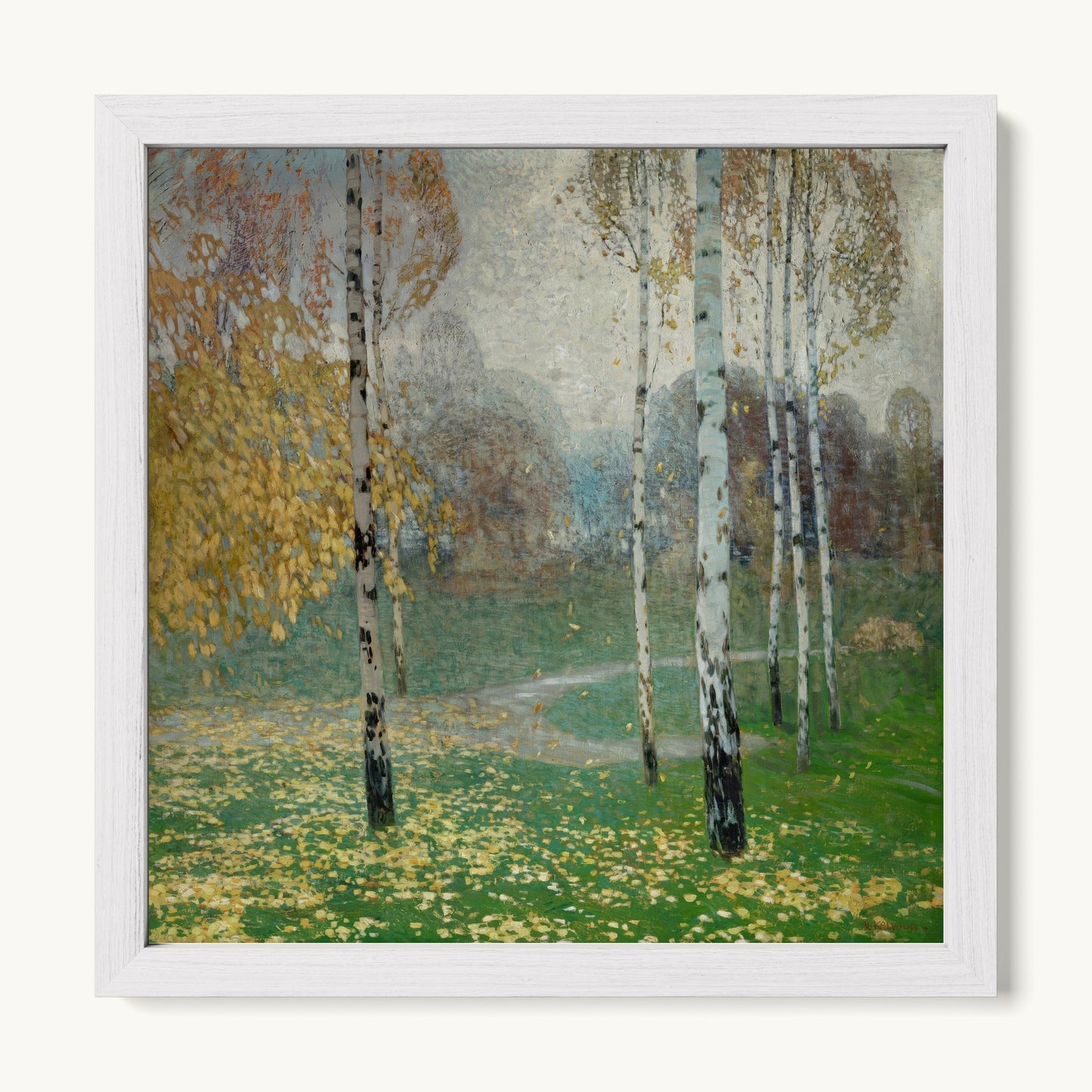 Birch Trees