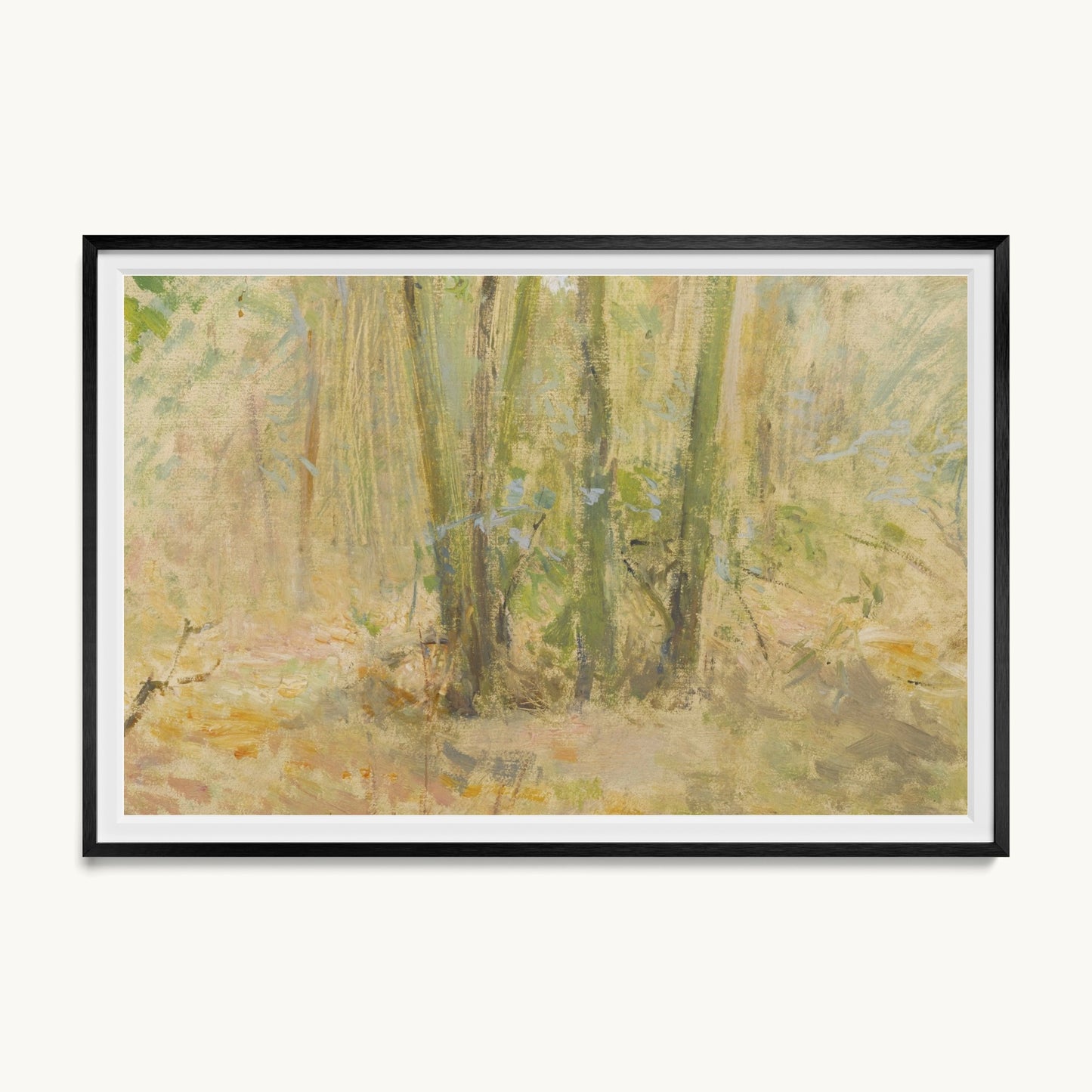 Arbres dans la forêt