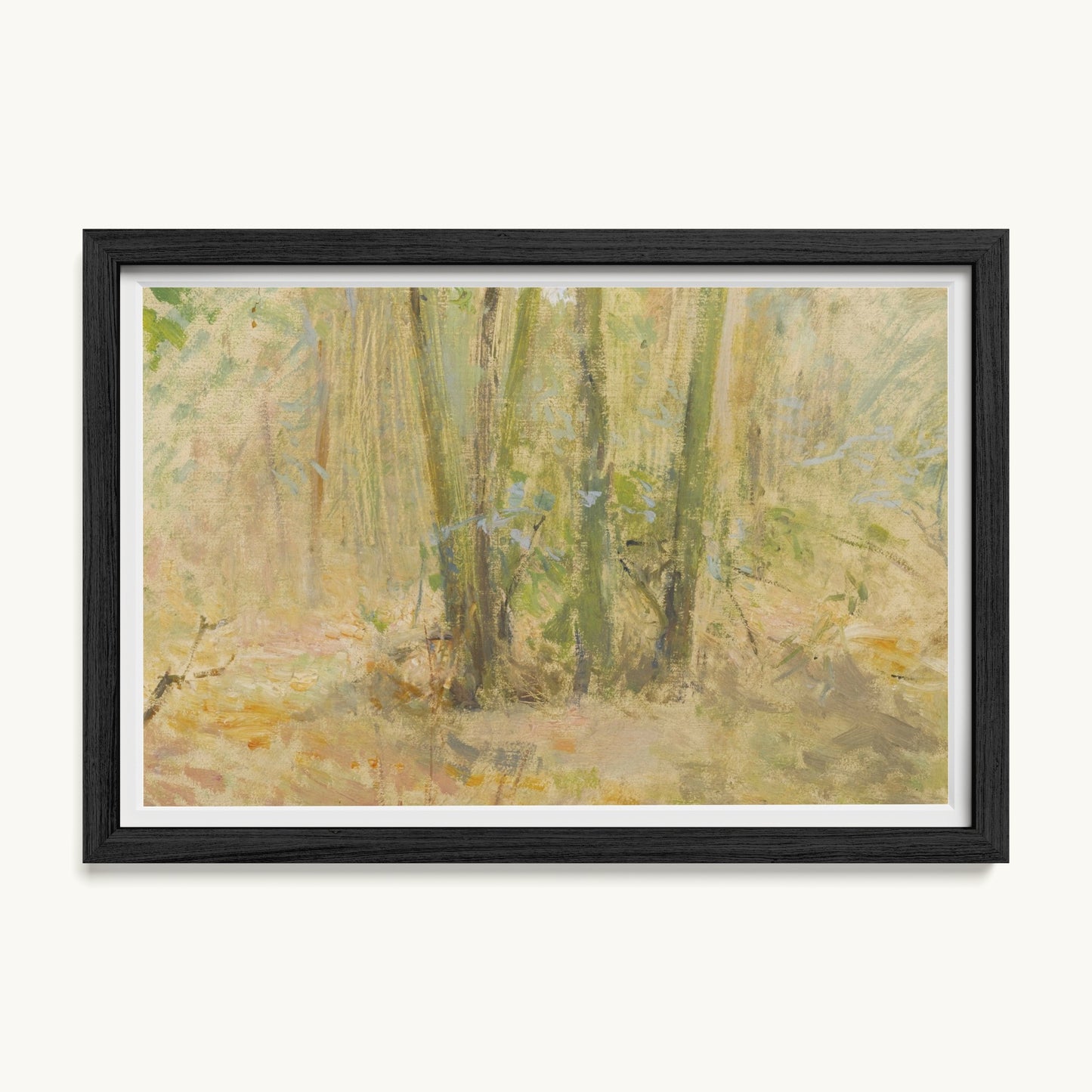 Arbres dans la forêt