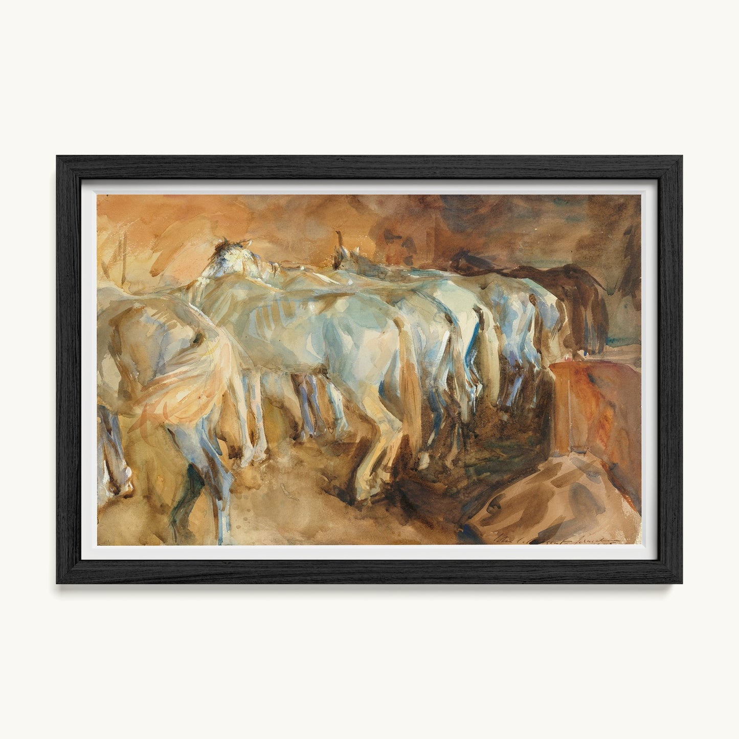Bus Horses in Jerusalem