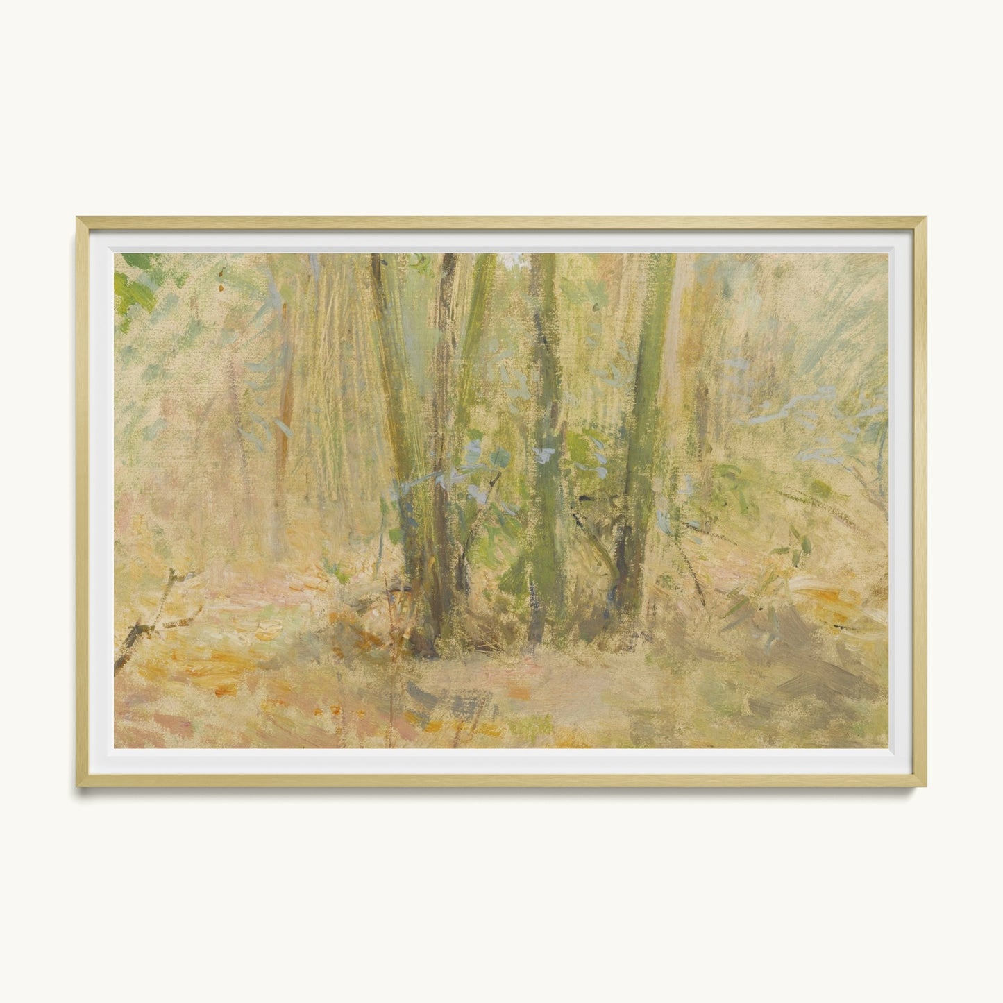 Arbres dans la forêt
