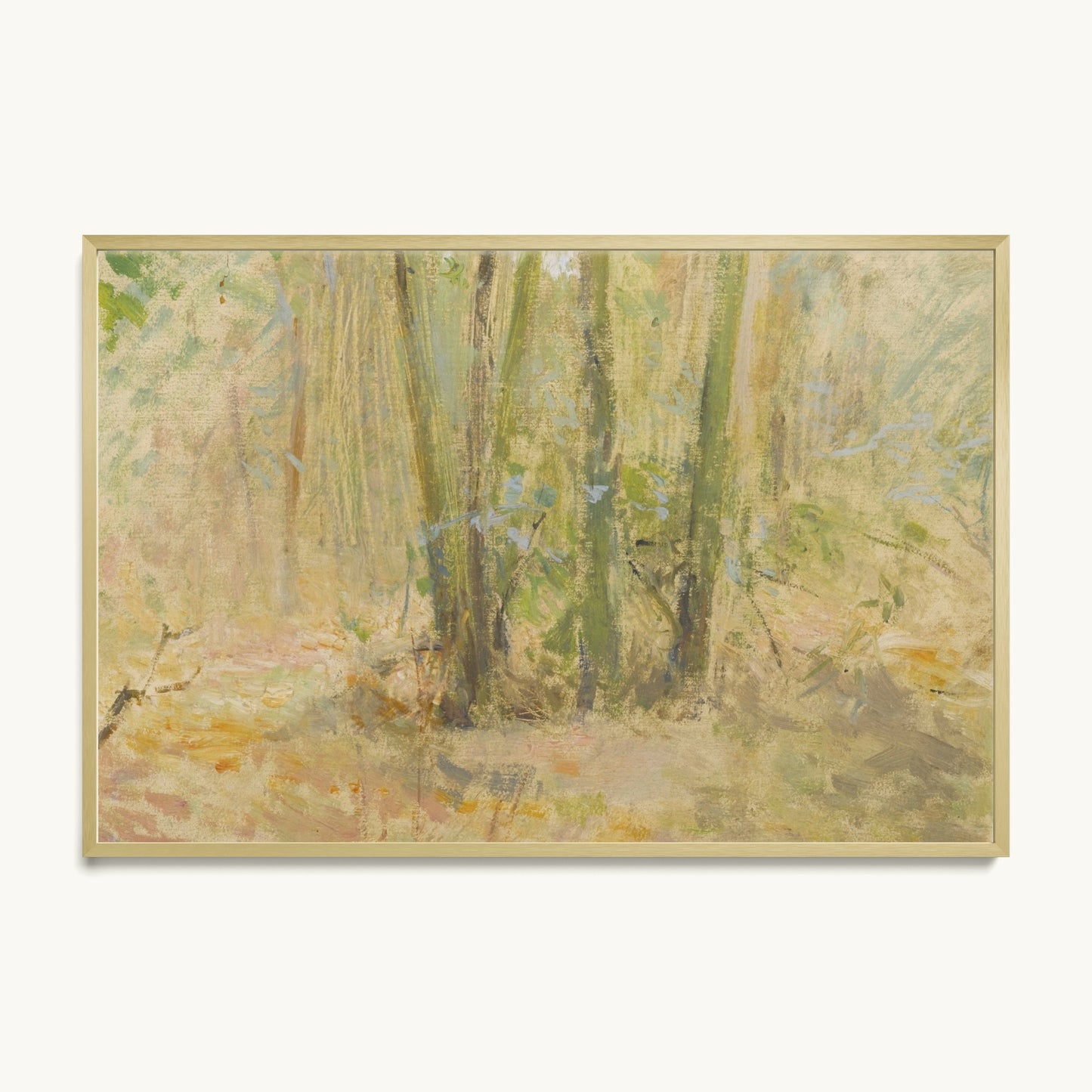 Arbres dans la forêt