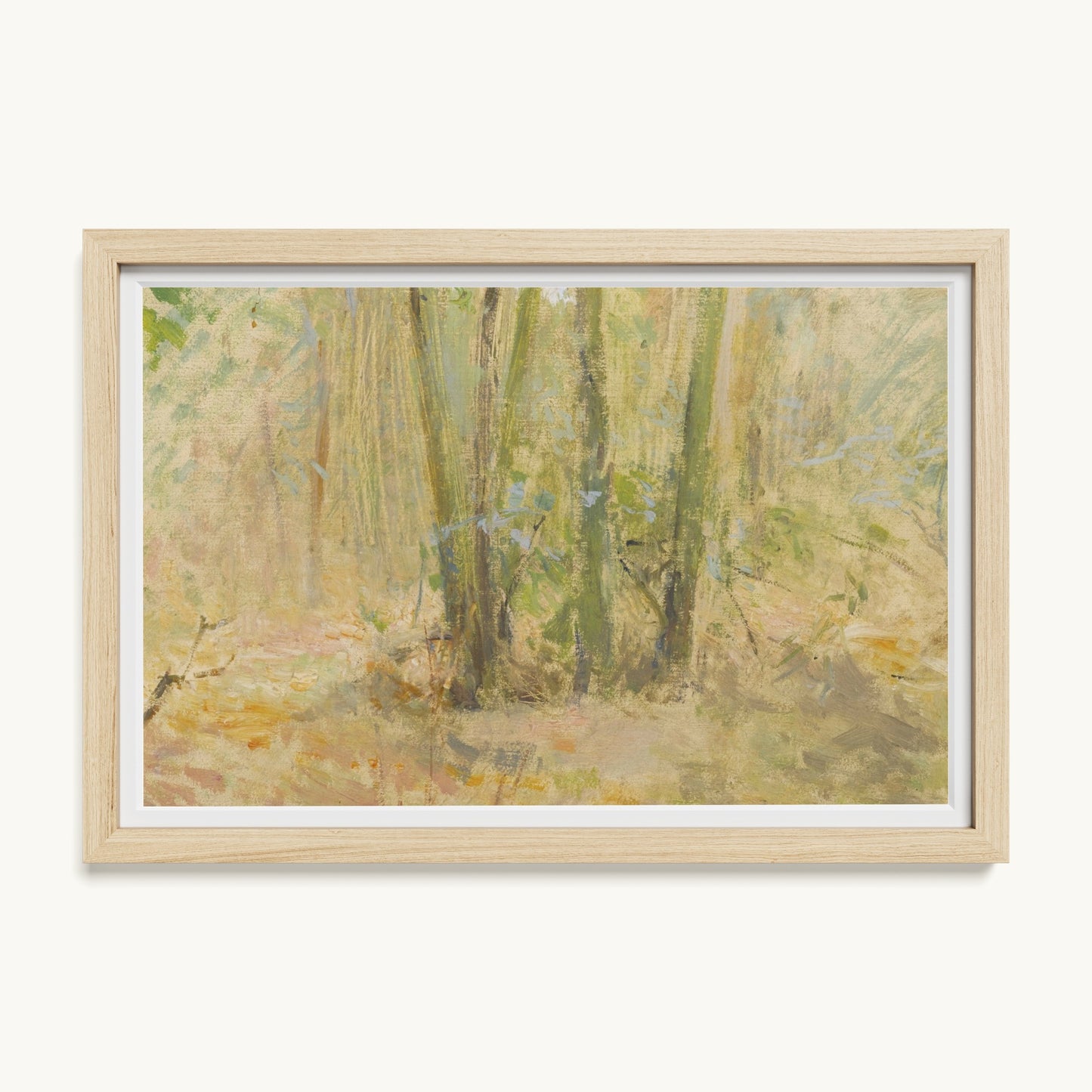 Arbres dans la forêt