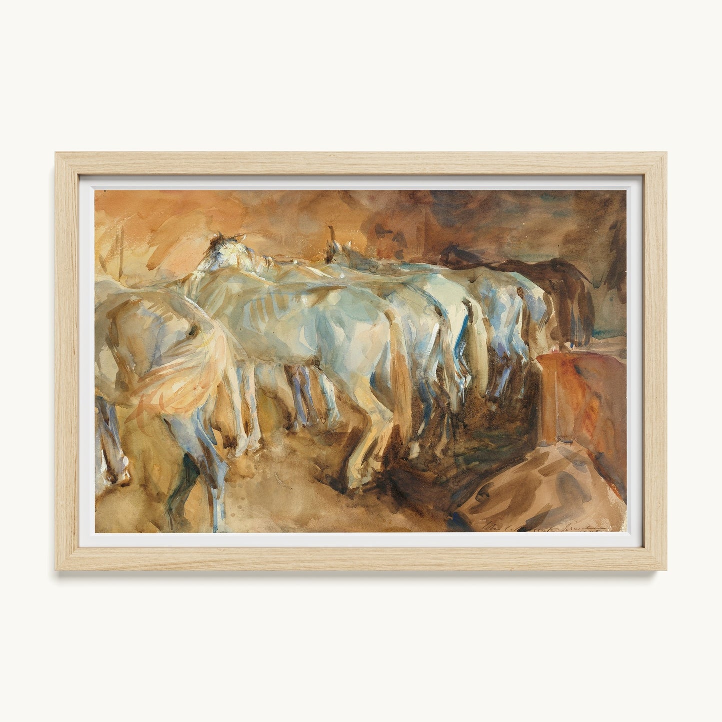 Bus Horses in Jerusalem