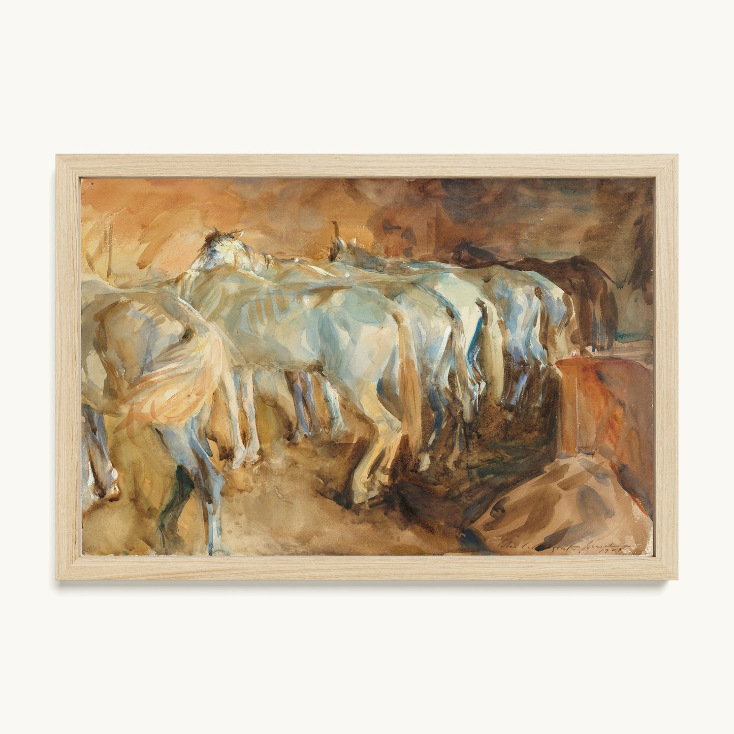 Bus Horses in Jerusalem