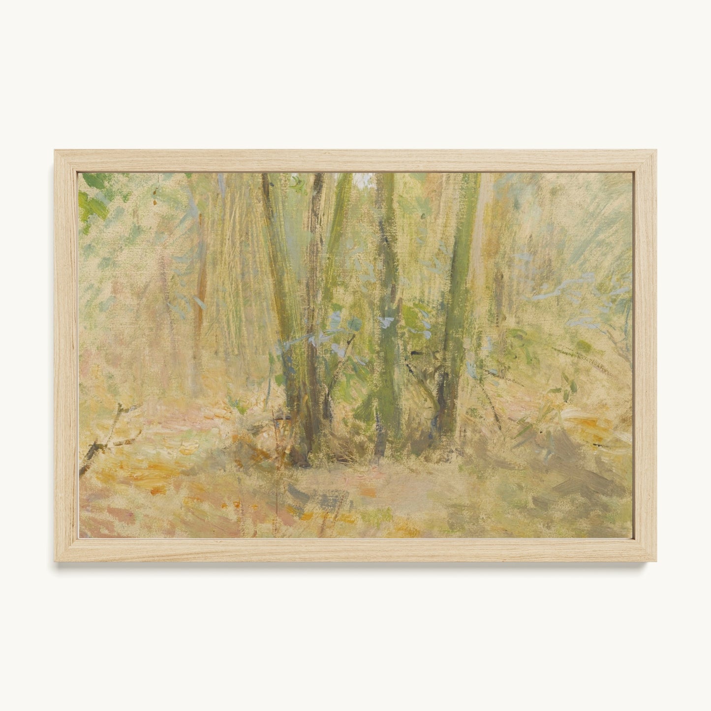 Arbres dans la forêt