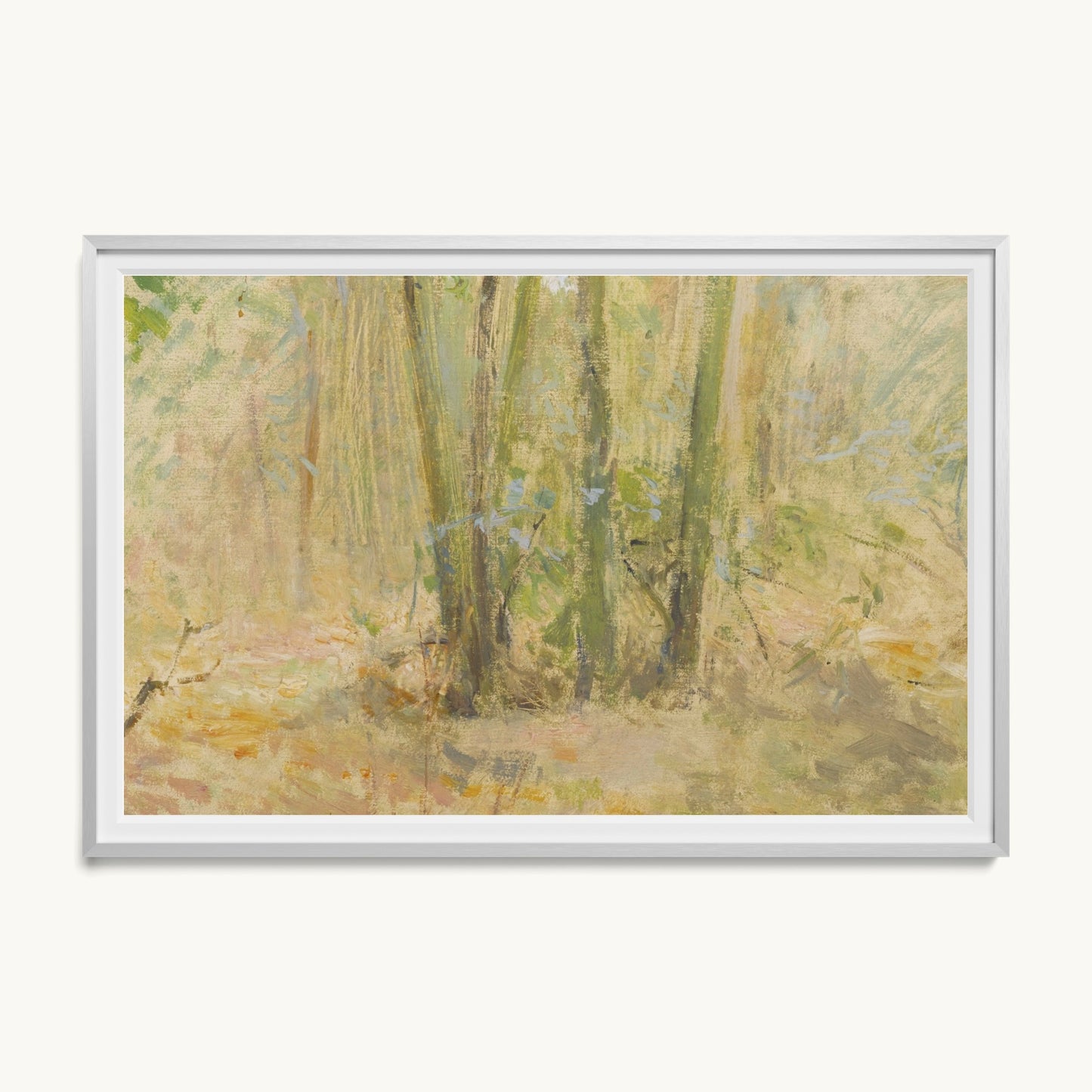 Arbres dans la forêt