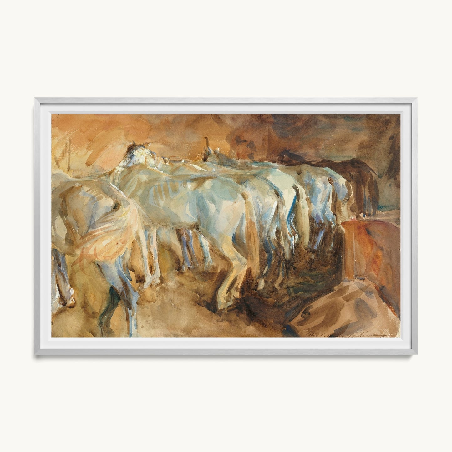 Bus Horses in Jerusalem