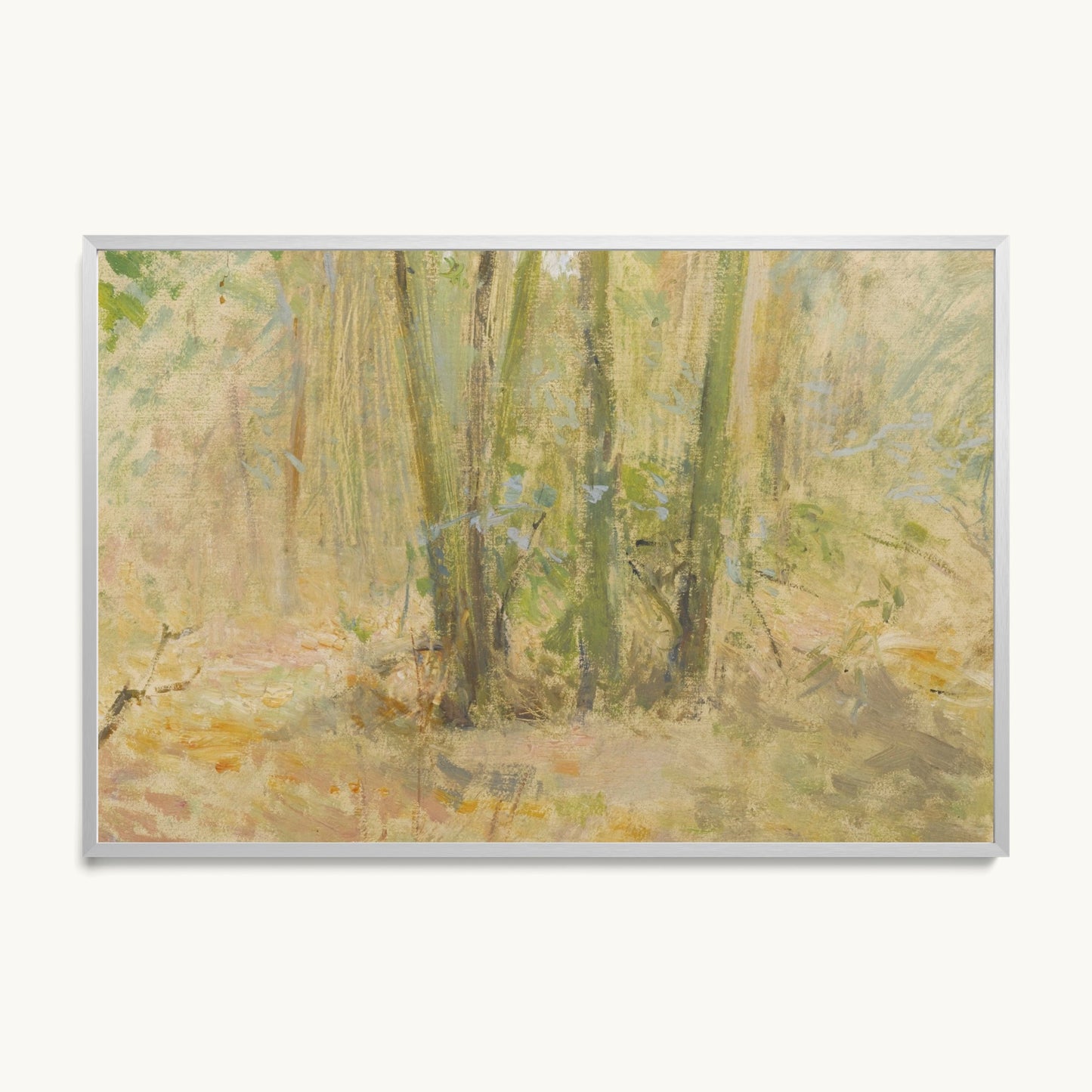 Arbres dans la forêt