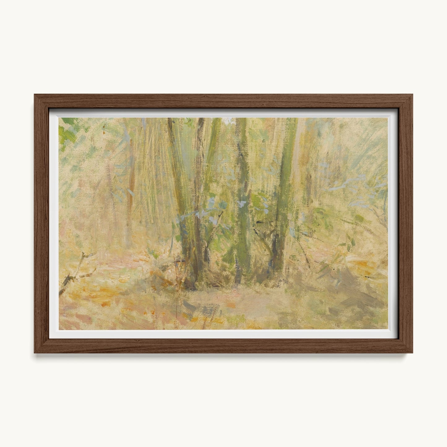 Arbres dans la forêt