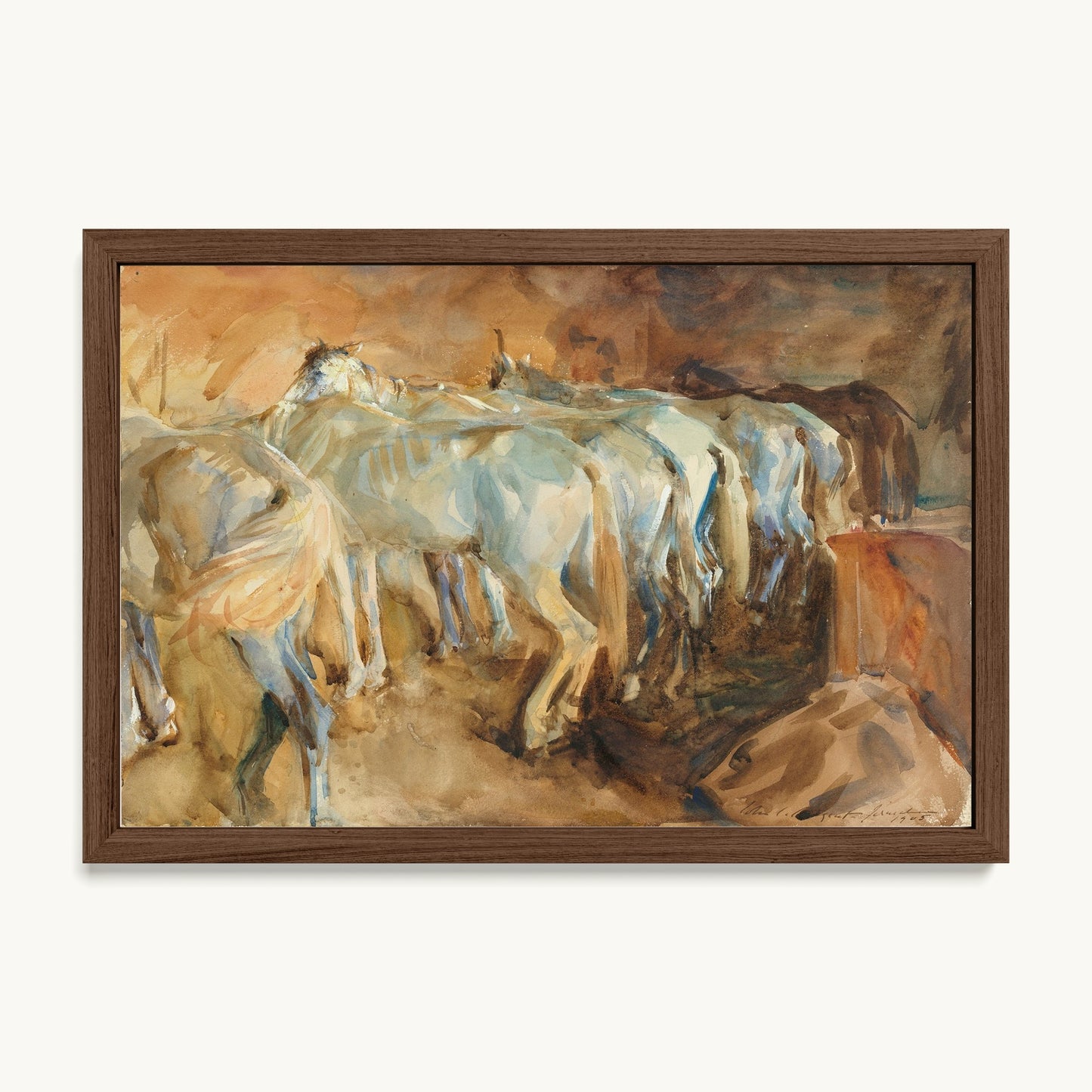 Bus Horses in Jerusalem