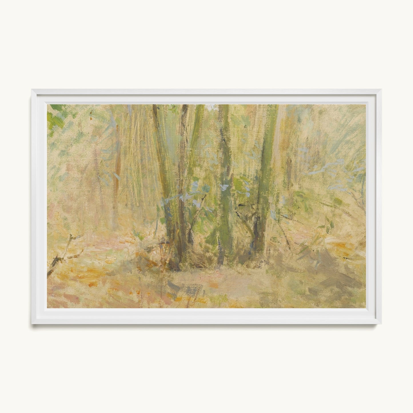 Arbres dans la forêt